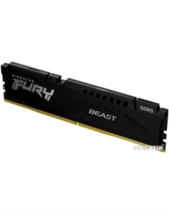 Оперативная память FURY Beast 32ГБ DDR5 5600 МГц KF556C36BBE-32 Kingston