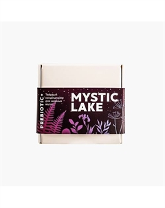 Твердый кондиционер для волос "Prebiotic+" 50 Mystic lake