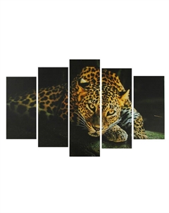 Картина модульная на подрамнике «Взгляд гепарда», 80×140 см: 2-25×52 см, 2-25×66.5 см, 1-25×80 см Сюжет