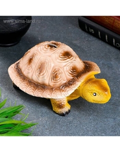 Копилка для денег «Черепаха», гипс, 21×14.5×9 см Хорошие сувениры