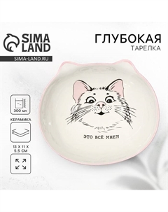 Тарелка суповая керамическая «Это всё мне?», 13×11×5.5 см, 300 мл Дорого внимание