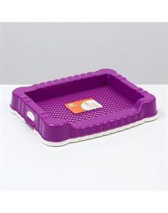 Туалет для собак с высоким бортом, 47×36×7 см, фиолетовый Пижон