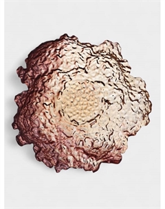 Блюдо сервировочное «МИРАЖ», 600 мл, d=30 см, стекло, цвет бронзовый Akcam