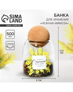 Банка для хранения сыпучих продуктов и круп «Счастье быть дома. Нежная мимоза», 500 мл Дорого внимание