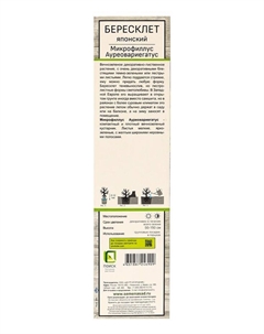 Саженец Бересклет японский «Микрофиллус Ауреовариегатус», декоративный, туба, 1 шт. Поиск