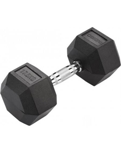 Гантель IN124 17.5 кг Indigo