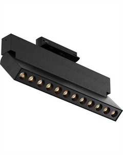 Трековый светильник Maytoni Points Rot Unity TR224-1-12WCCT-M-B