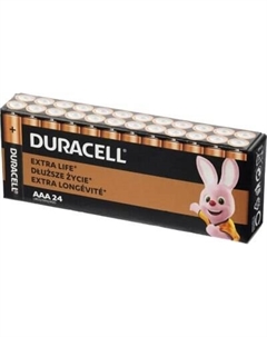 Комплект батареек Duracell Basic MN2400 LR03 AAA BL24