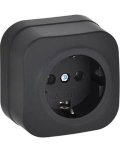 Розетка IEK Glory ERH11-K02M-16 Iek