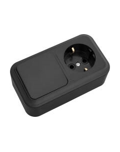 Блок выключатель+розетка Bylectrica Пралеска В-РЦ-527