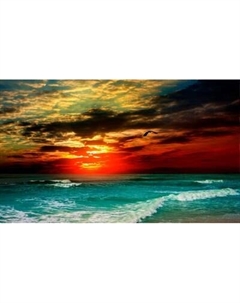 Фотообои листовые Citydecor Море и Водопады 64