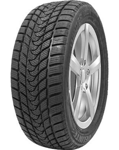 Зимняя шина Delinte Winter WD1 275/40R19 101H