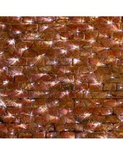 Светодиодная сеть Neon-Night 215-031 Neon-night