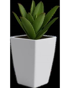 Кашпо BOTANICA Cactus Botanica