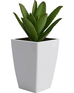 Кашпо BOTANICA Cactus Botanica