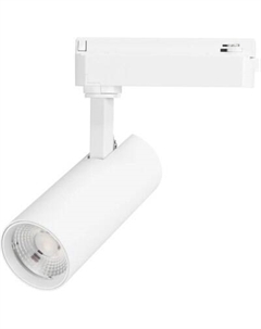 Трековый светильник Arlight LGD-GERA-2TR-R55-10W Day4000 WH 55deg / 055040