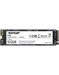 SSD P300 512GB P300P512GM28 Patriot