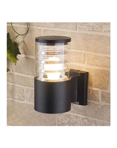 Уличный светильник 1408 TECHNO a032622 Elektrostandard