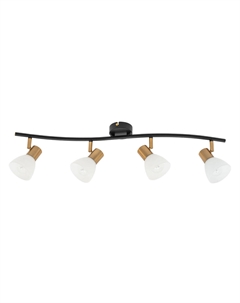 Светильник наст.-пот./спот Falena A3117PL-4BK (4*40Вт, E14) Arte lamp