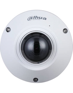 IP-камера DH-IPC-EB5541P-AS Dahua