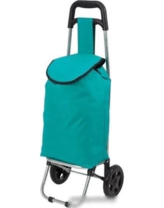 Сумка-тележка WR3030 Бирюза Рыжий кот