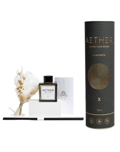 Аромадиффузор с сухоцветами в Премиум тубусе Aether X 420 100 Accents вдохновение с первых нот