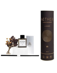 Аромадиффузор для дома с сухоцветами Aether VI Orange Pepper 100 Accents вдохновение с первых нот