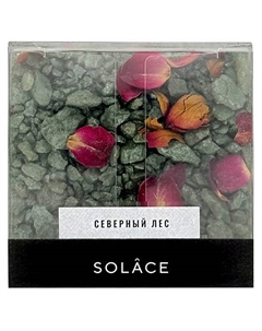 Мерцающая соль для ванны "Северный лес" с шиммером и сухоцветами 150 Solace