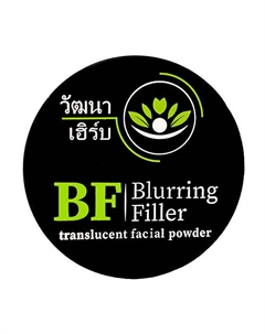 Матирующая компактная прозрачная пудра Blurring Filler 10 Wattana herb