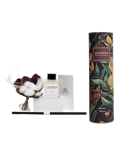 Диффузор для дома с сухоцветами в Премиум тубусе Massimo 100 Accents вдохновение с первых нот