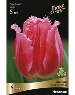 Тюльпан бахромчатый «Неглиже», р-р 12/+, 5 шт., Осень 2025 Поиск