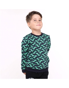 Свитшот для мальчика, цвет синий, рост 98 см Baby style