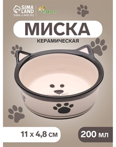 Миска для кошек керамическая «Подмигивающий кот» 200 мл 11×4.8 см, бело-черная Пижон