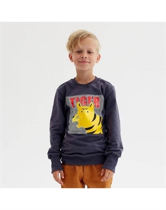 Свитшот для мальчика : Casual Collection KIDS, цвет графит, рост 98 см Minaku
