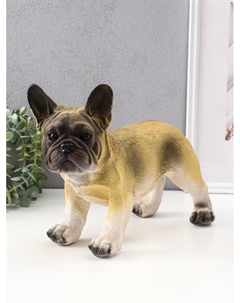 Копилка для денег «Французский бульдог», гипс, 14×34×25 см, бежевый Хорошие сувениры