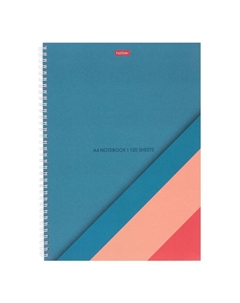 Тетрадь с тв/обл 120л А4 кл "Color Line", на гребне, многоцв, перфорац, S-touch Hatber