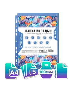 Файл-вкладыш А4, 180 мкм, TOP, ПВХ, с расширением, матовый, вертикальный, 5 штук, синий Calligrata
