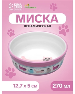 Миска керамическая «Кошачья жизнь» 270 мл 12.7×5 см, розовая Пижон