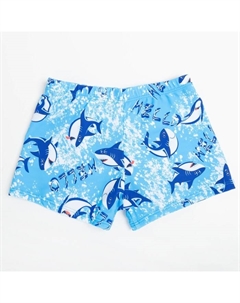 Плавки купальные для мальчика «Hello», рост 146-152 Minaku