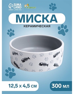 Миска для кошек керамическая «Рыбные косточки и лапки» 300 мл, 12.5×4.5 см, серая Пижон