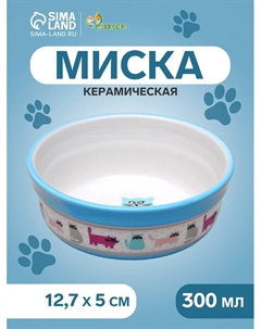 Миска керамическая «Кошачья жизнь» 300 мл 12.7×5 см, голубая Пижон