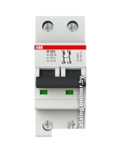 Выключатель автоматический M202-63 2P 63A Im=700A 15kA 2M 2CDA282799R0631 Abb