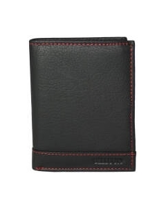 Портмоне Sanchez Casual ZM-37-354 Sanchez casual