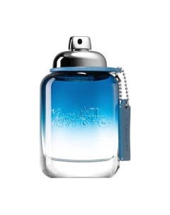 Туалетная вода Coach New York New York Coach Blue Coach new york