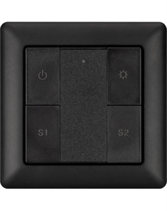 Выключатель Arlight Intelligent DALI-223-1G-2S-IN-BLACK / 031100