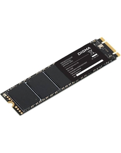 Накопитель SSD DGSR1002TS93T Digma