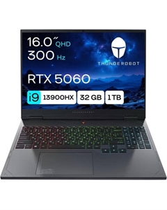 Ноутбук Thunderobot Gravity 16 G2 Pro JT009H00KRU