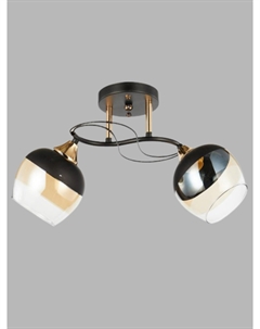 Светильник подвесной (М) 2x60Вт черн/зол. НПБ 02-2x60-101 6107/2 Aitin-pro