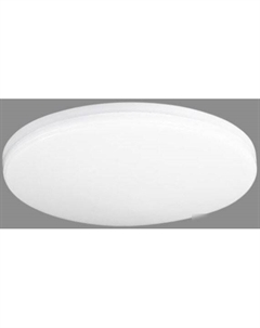 Припотолочная люстра Neo Simple 4690612060927 (с пультом) In home