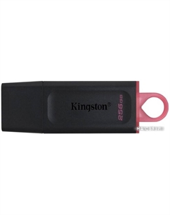 USB Flash Exodia 256GB Kingston